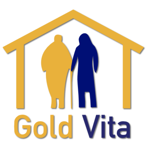 cropped-logo_GV.png